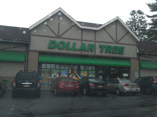 Dollar Store «Dollar Tree», reviews and photos, 250 Jericho Turnpike #80, Floral Park, NY 11001, USA