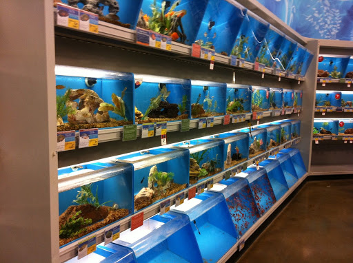 Pet Supply Store «PetSmart», reviews and photos, 9589 Ridgetop Blvd NW, Silverdale, WA 98383, USA