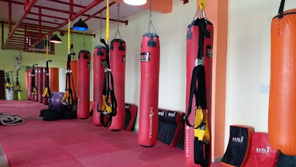 Dynamic Kickboxing Cross Training Fitness
