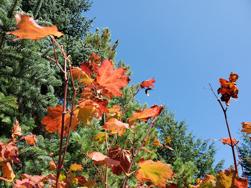 Park «Maple Leaf Reservoir Park», reviews and photos, 1020 NE 82nd St, Seattle, WA 98115, USA