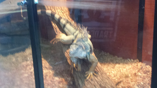 Zoo «Phillips Park Zoo», reviews and photos, 1000 Ray Moses Dr, Aurora, IL 60505, USA