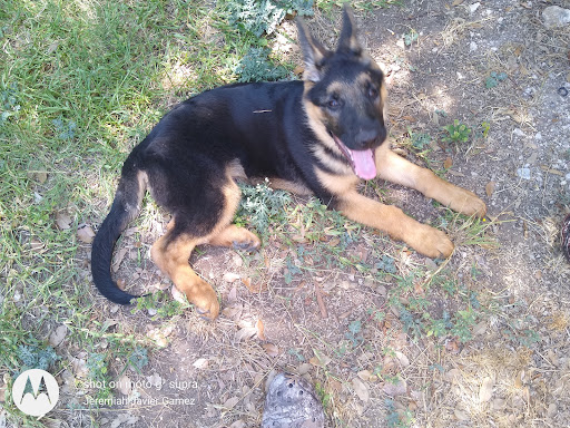 Pet Supply Store «Petco Animal Supplies», reviews and photos, 2640 W University Dr #1280, Denton, TX 76201, USA