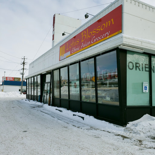 Lotus Blossom Inc, 2750 Main Ave, Fargo, ND 58103, USA, 