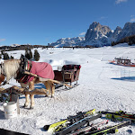 Photo n°4 de l'avis de Andrea.e fait le 24/01/2024 à 20:37 sur le  Malga Sanon à Kastelruth