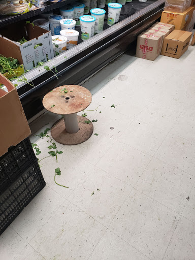 Indian Grocery Store «Krishna Grocery», reviews and photos, 1288 Woodruff Rd, Greenville, SC 29607, USA