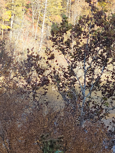 Tourist Attraction «French Broad Overlook», reviews and photos, 3938 Blue Ridge Pkwy, Arden, NC 28704, USA