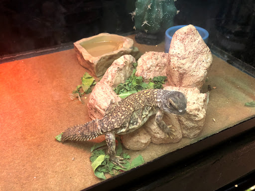 Pet Store «Parker Exotic Pets», reviews and photos, 17880 Cottonwood Dr, Parker, CO 80134, USA