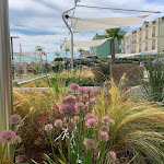 Photo n°1 de l'avis de Benetton.g fait le 04/08/2023 à 13:45 sur le  Hotel Mexico à Bellaria - Igea Marina