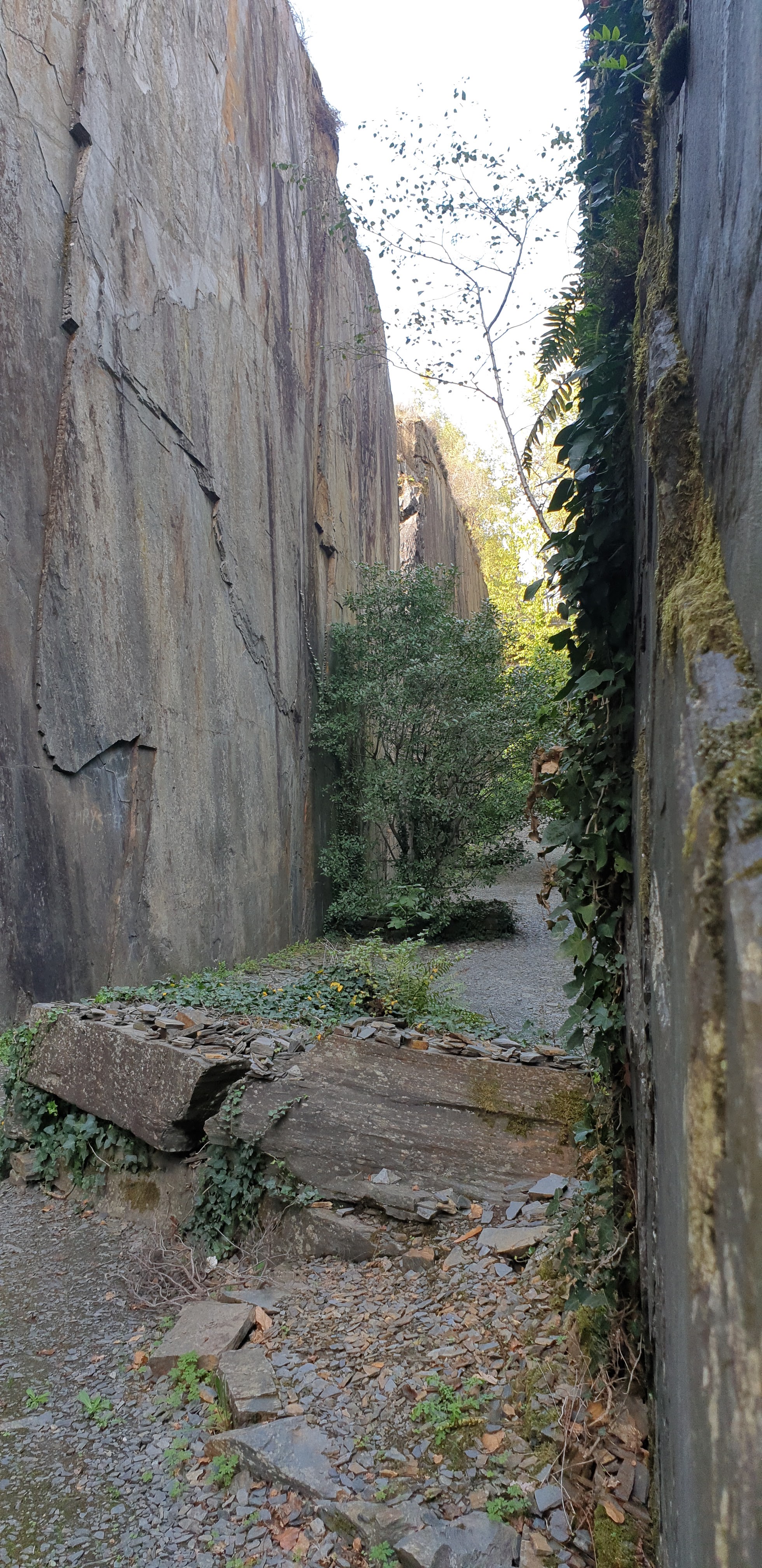 Photo n° 3 de l'avis de poncet.t fait le 19/10/2022 à 12:19