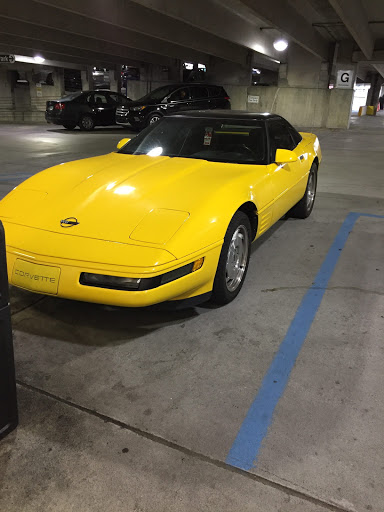 Toy Store, 1040 Seminole Blvd, Largo, FL 33770, USA, 