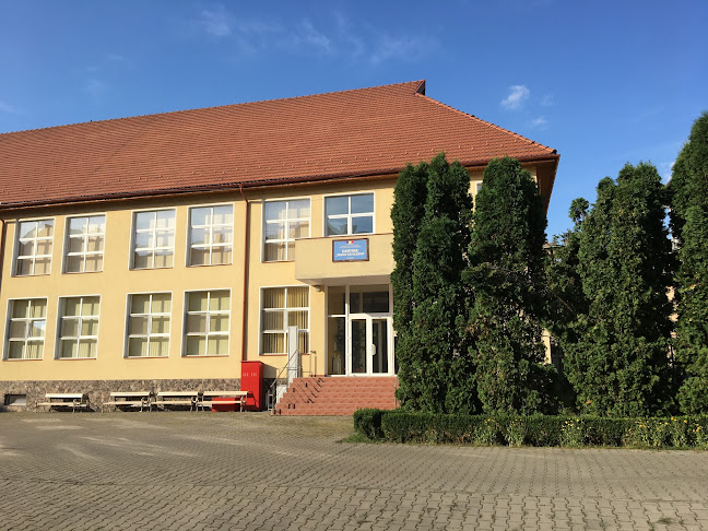 Colegiul Agricol Traian Săvulescu - Școală