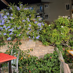 Photo n°2 de l'avis de Simplicio.e fait le 14/09/2023 à 21:44 sur le  Paglià Pizza e Fichi à Pagliare del Tronto