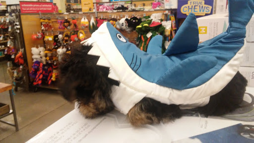 Pet Supply Store «Petco Animal Supplies», reviews and photos, 4840 N Pulaski Rd #100, Chicago, IL 60630, USA