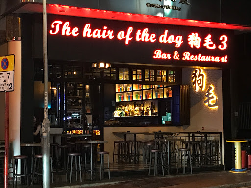 接受狗的酒吧 深圳