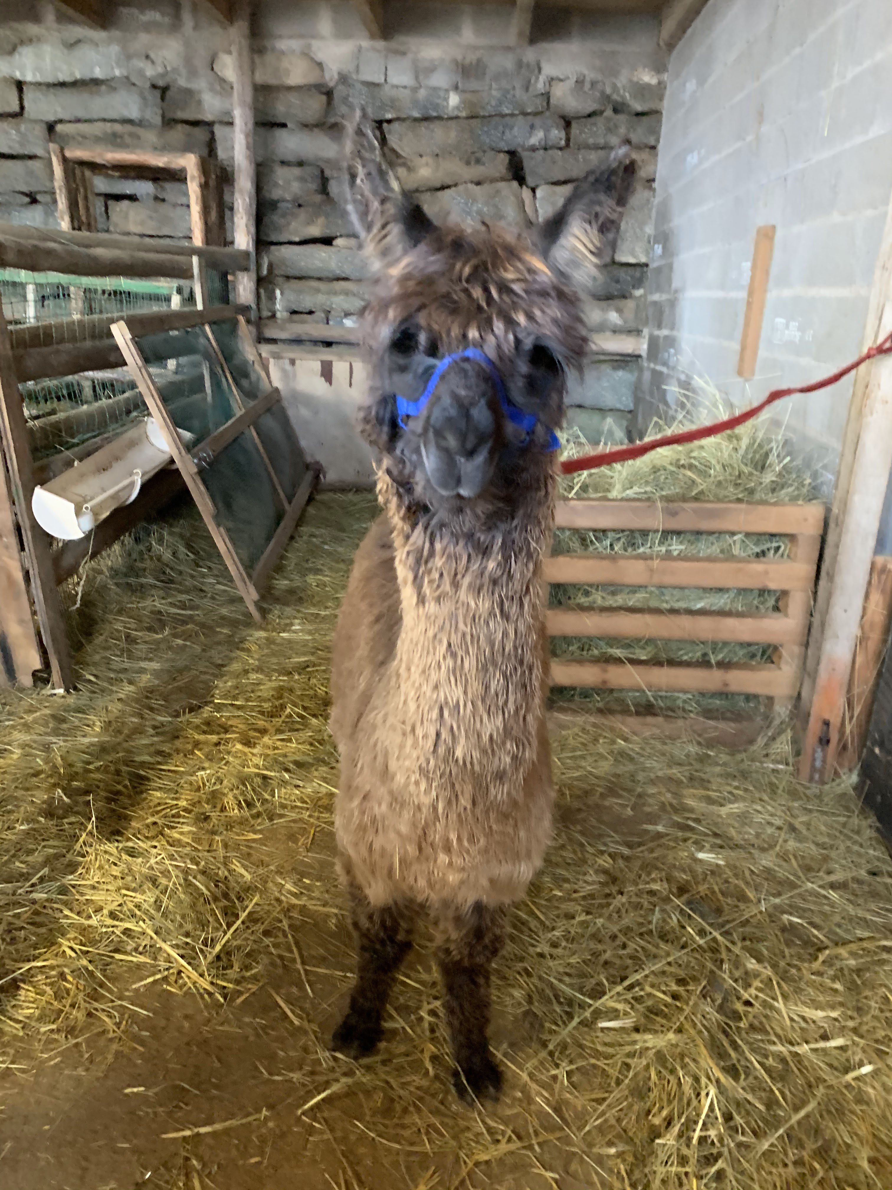 Photo n° 20 de l'avis de Gwendoline.a fait le 20/02/2020 à 15:02