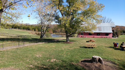 Winery «Wild Sun Winery», reviews and photos, 4830 Pioneer Rd, Hillsboro, MO 63050, USA