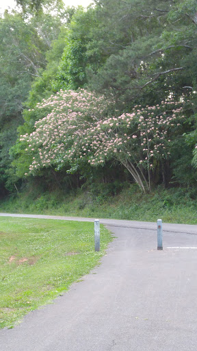 Community Center «Jacksonville Community Center», reviews and photos, 501 Alexandria Rd SW # A, Jacksonville, AL 36265, USA