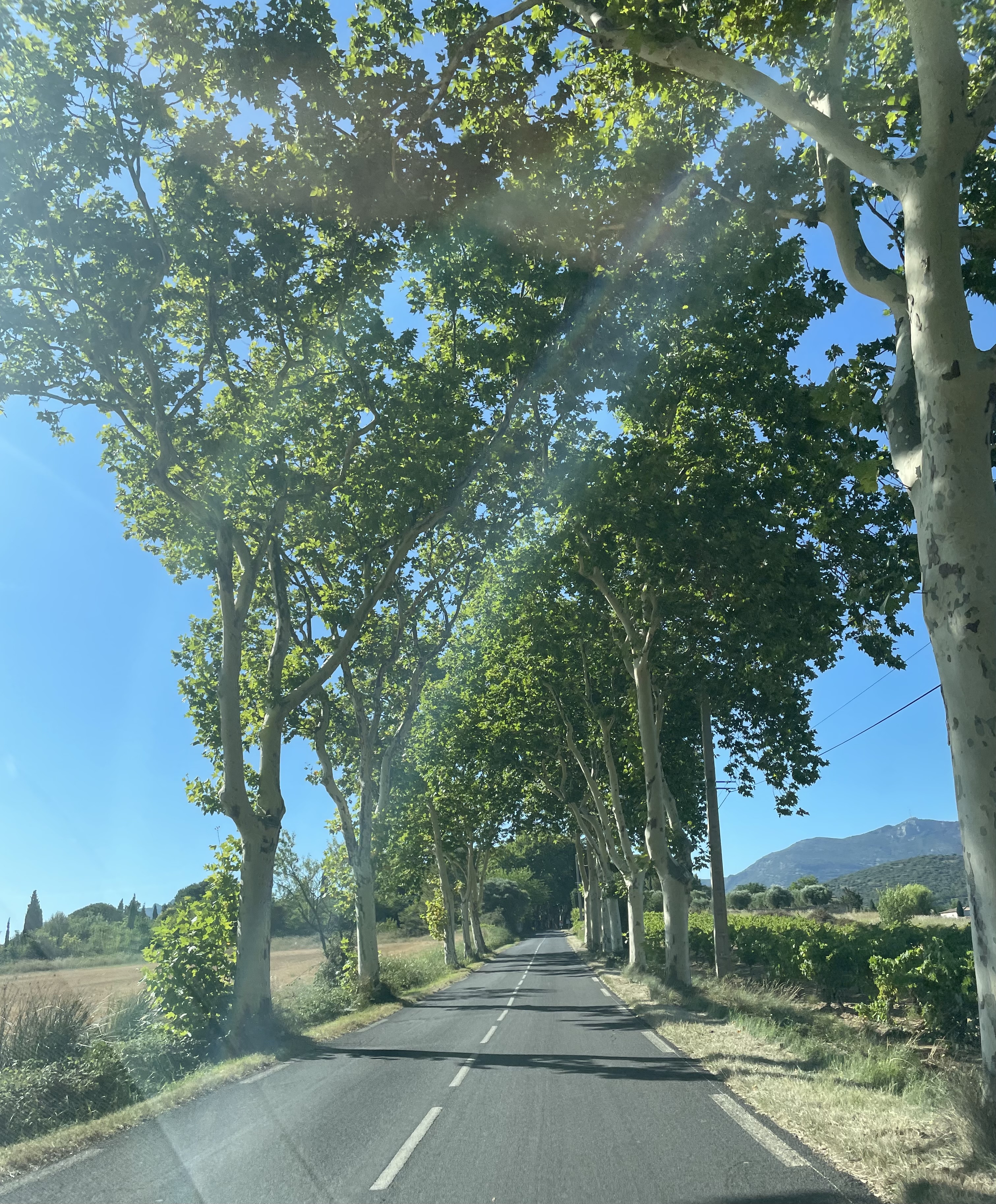 Photo n° 3 de l'avis de Danielle.e fait le 18/07/2023 à 14:41