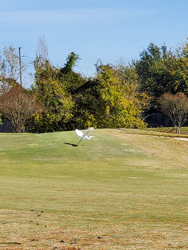 Public Golf Course «Cypress Lakes Golf Course», reviews and photos, 18700 Cypresswood Dr, Cypress, TX 77429, USA