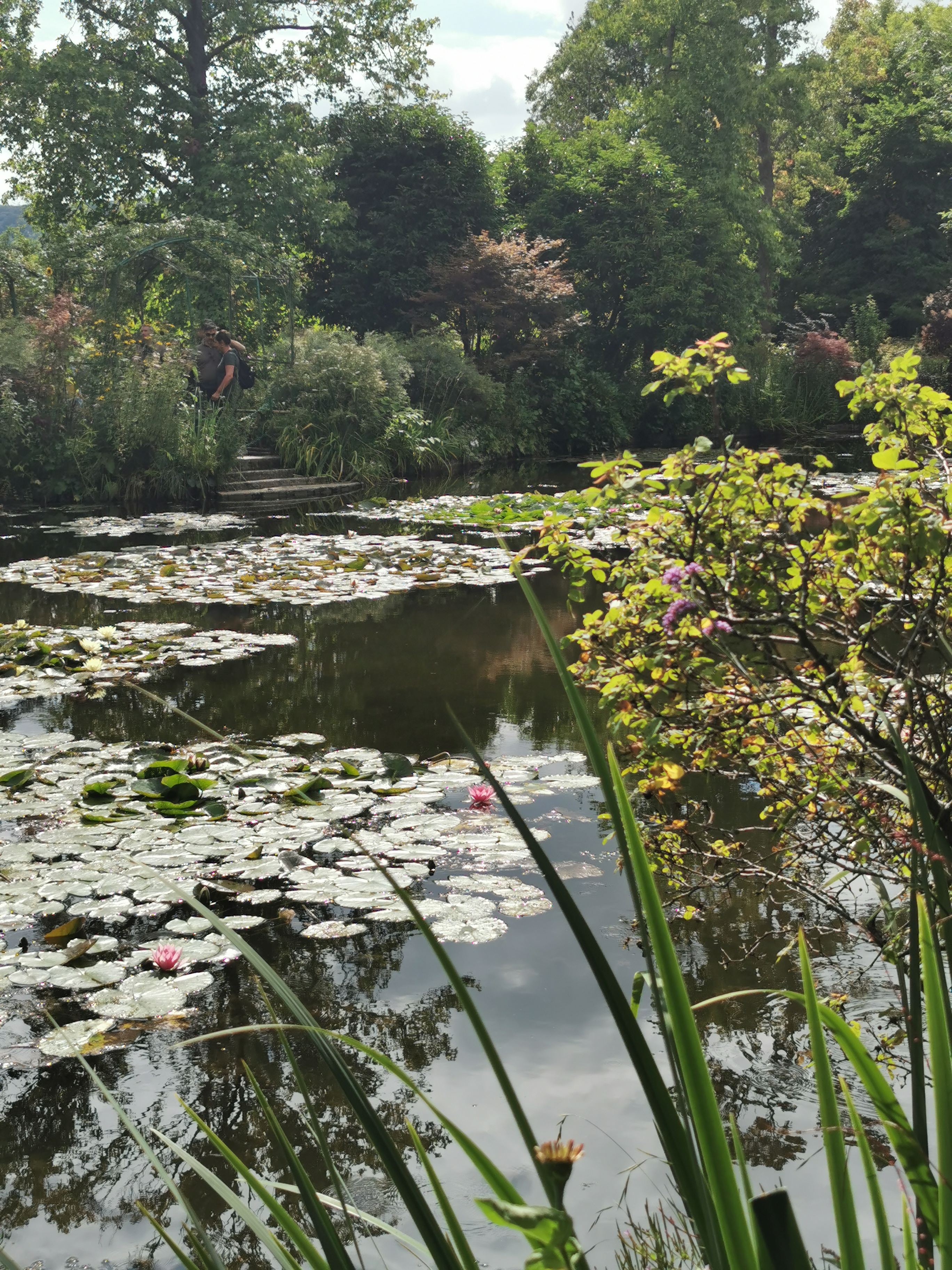 Photo n° 1 de l'avis de Francine.E fait le 27/08/2023 à 20:10
