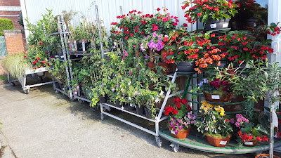 Servifleurs à Fismes