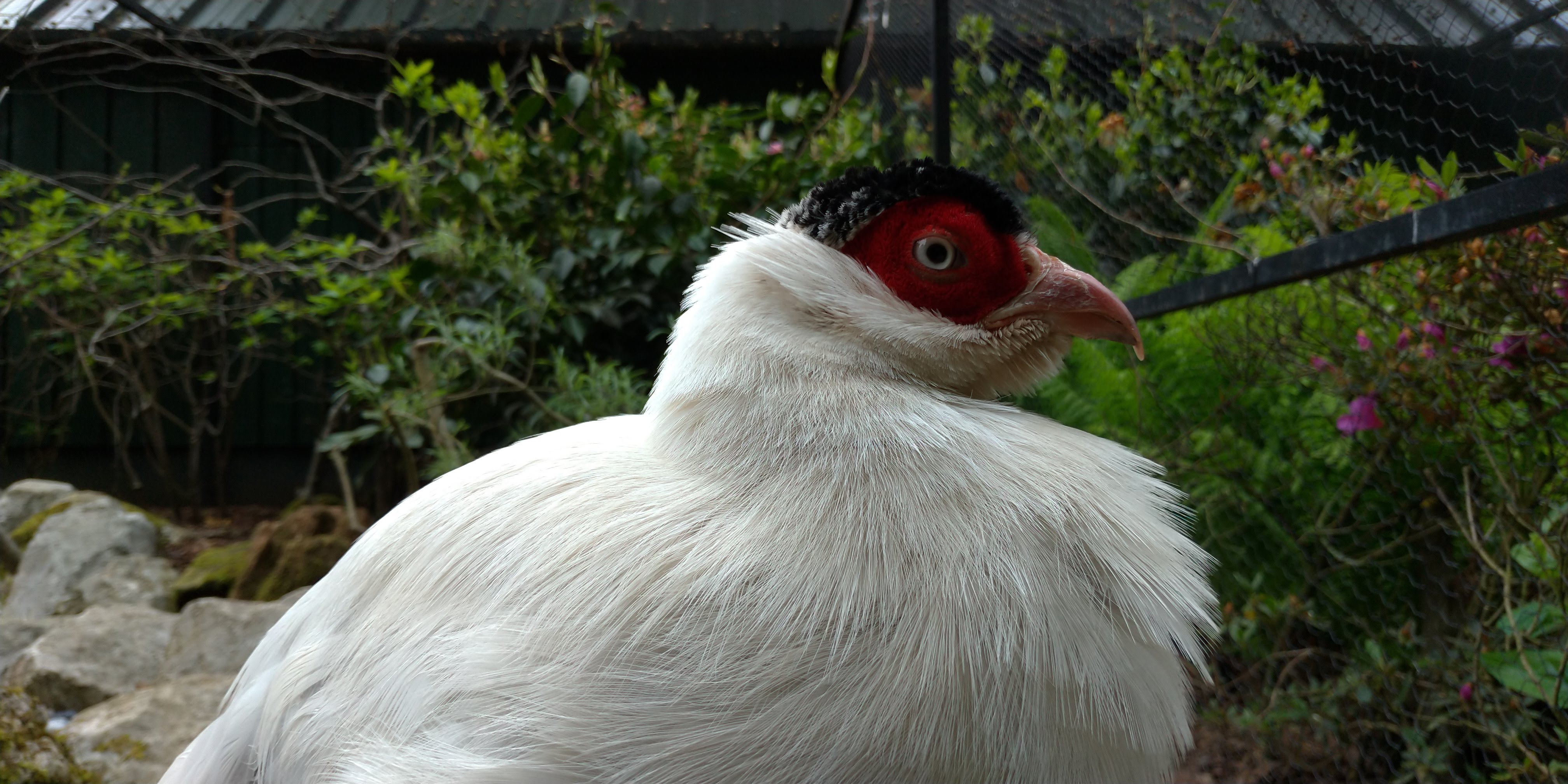 Photo n° 12 de l'avis de Maxime.E fait le 19/05/2019 à 20:15