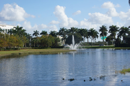 Beauty Salon «Azzurri Salon & Spa», reviews and photos, 2398 Weston Rd, Weston, FL 33326, USA