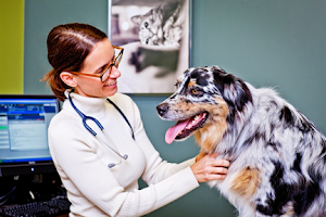 Veterinary Specialty Hospital - North County