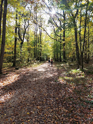 Carrefour du Charbonnier - Parc de la Moutonnerie à Amboise