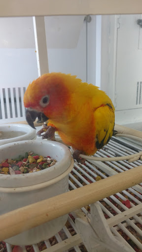 Pet Supply Store «Petco Animal Supplies», reviews and photos, 2515 Corridor Way #3, Coralville, IA 52241, USA