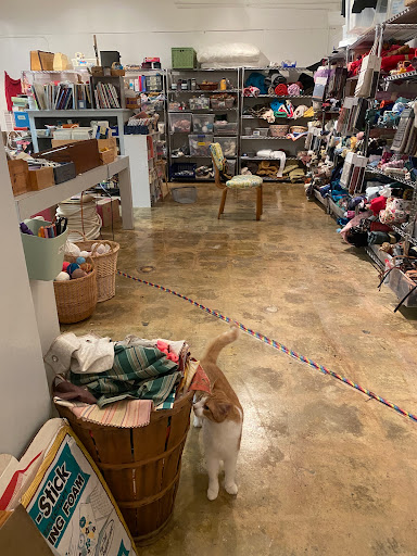 Art Supply Store «Texas Art Asylum», reviews and photos, 1719 Live Oak St, Houston, TX 77003, USA