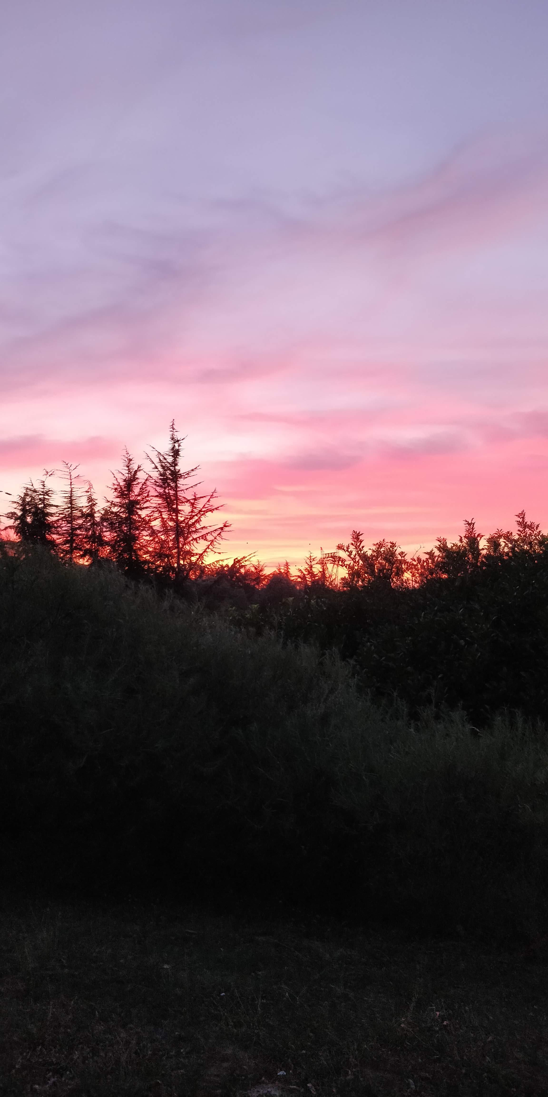 Photo n° 2 de l'avis de TAREK.U fait le 14/08/2018 à 21:45