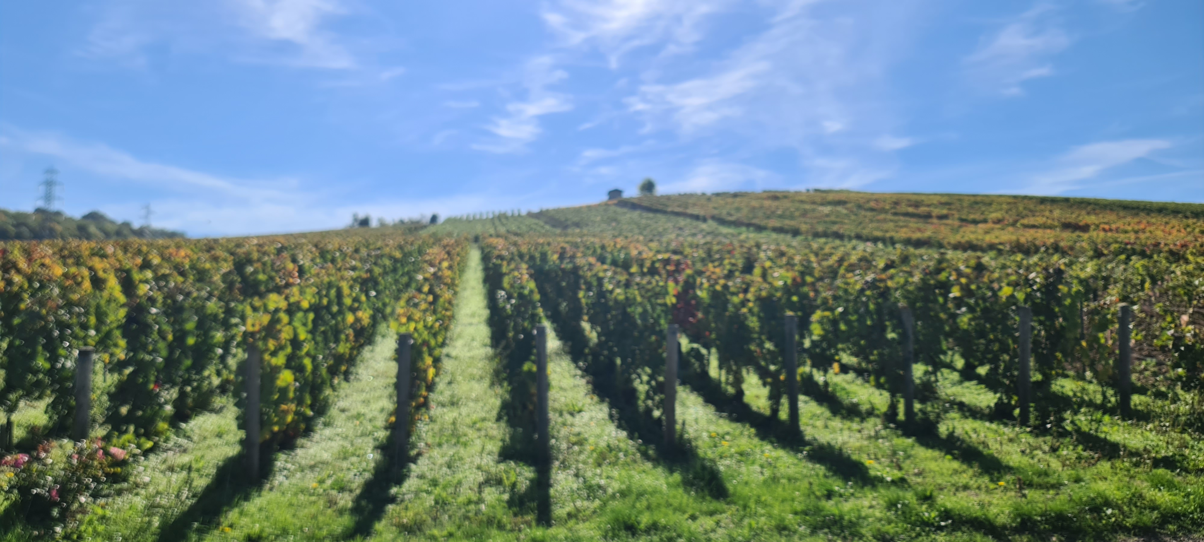 Photo n° 3 de l'avis de V... fait le 04/10/2022 à 16:31