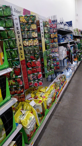 Department Store «Walmart Supercenter», reviews and photos, 200 12th St SW, Forest Lake, MN 55025, USA