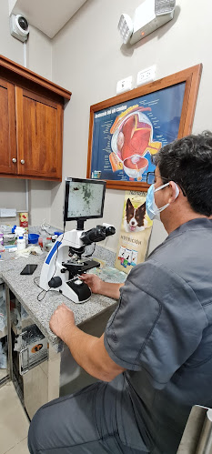 Opiniones de Veterinaria Dr. Correa en Machala - Veterinario