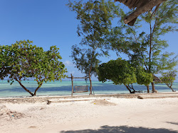 Photo de Makunduchi Beach - endroit populaire parmi les connaisseurs de la détente