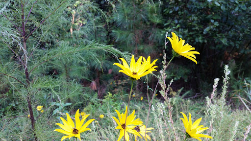 Park «Big Creek Park», reviews and photos, 1600 Old Alabama Rd, Roswell, GA 30076, USA