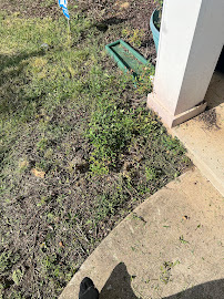 Color Burst Landscapes - Photo 5 - Car repair in Brentwood, TN, Nashville