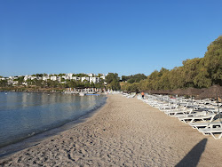 Photo de Plage d'Akchabyuk protégé par des falaises