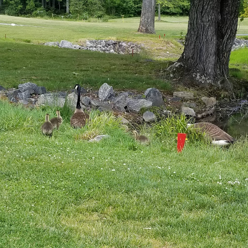 Golf Club «Etowah Valley Golf Club & Lodge», reviews and photos, 470 Brickyard Rd, Etowah, NC 28729, USA