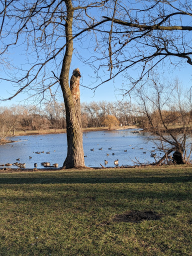 Nature Preserve «Schiller Woods East», reviews and photos, W Irving Park Rd, Chicago, IL 60634, USA