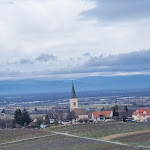 Photo n°4 de l'avis de Scherb.h fait le 20/02/2022 à 15:21 sur le  Ziegelhof Straußi à Ballrechten-Dottingen