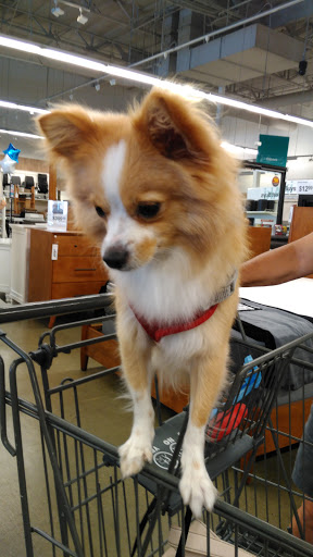 Furniture Store «Aki-Home - Fullerton», reviews and photos, 1979 W Malvern Ave, Fullerton, CA 92833, USA