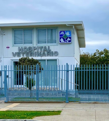 Hospital Veterinario Talcahuano Villa Animal