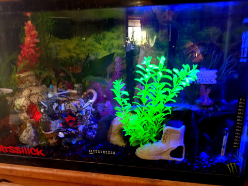 Pet Store «A to Z Pets», reviews and photos, 16010 SE Division St, Portland, OR 97236, USA