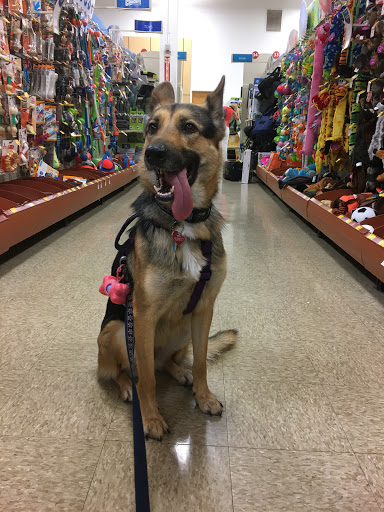Pet Supply Store «PetSmart», reviews and photos, 4101 Oakwood Blvd, Hollywood, FL 33020, USA