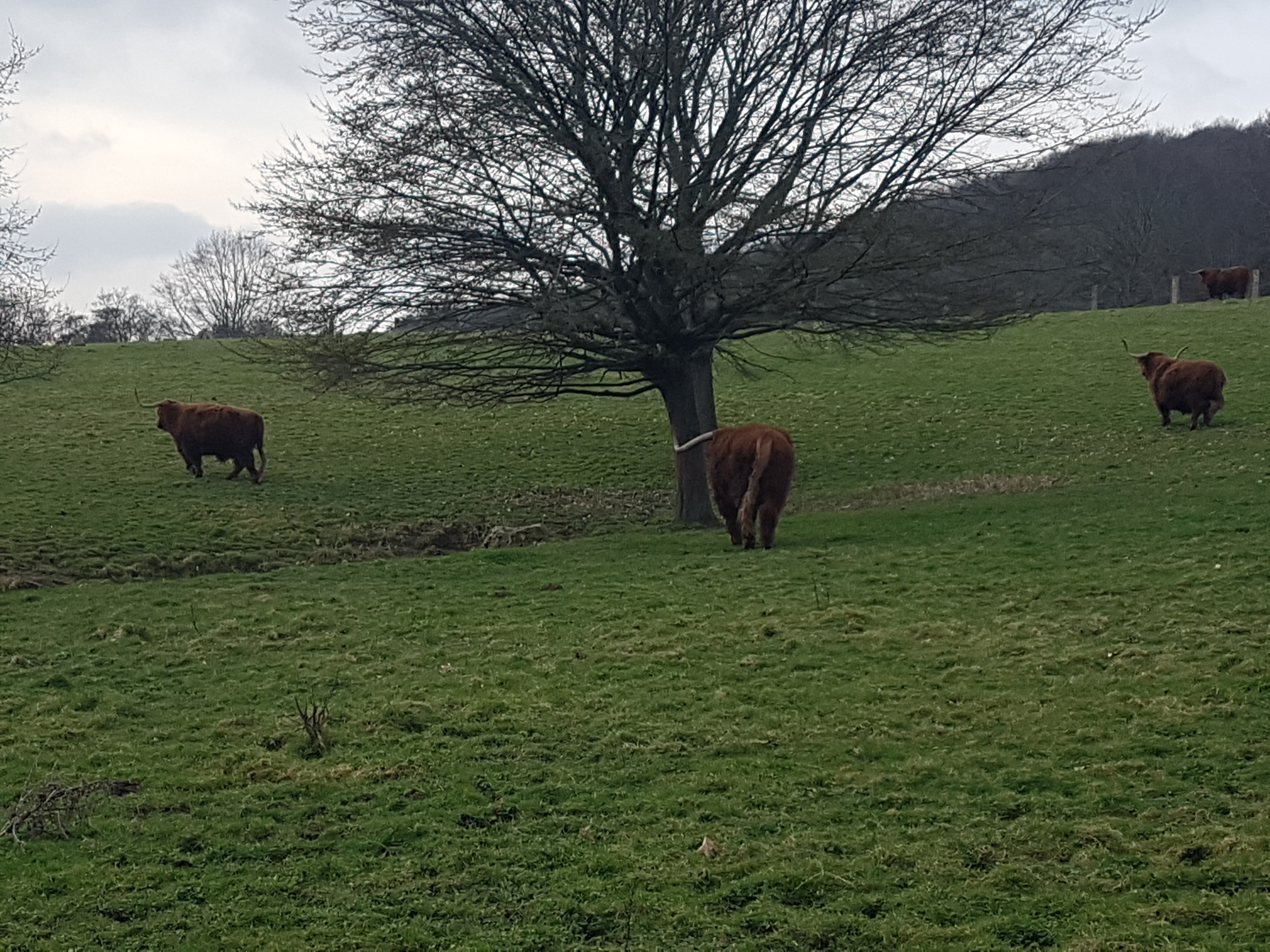 Photo n° 2 de l'avis de Rui.e fait le 17/10/2019 à 14:32