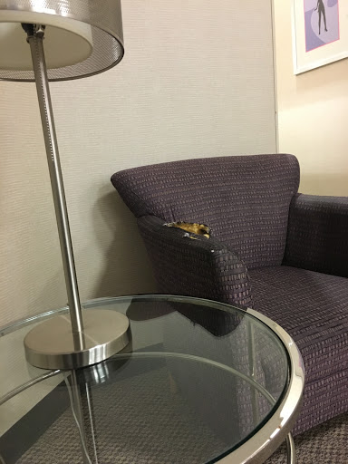 Department Store «JCPenney», reviews and photos, 1100 Ogden Ave, Montgomery, IL 60538, USA