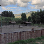 Photo n°5 de l'avis de Felice.a fait le 18/07/2020 à 08:50 sur le  Agriturismo Mararanch à Castrocucco