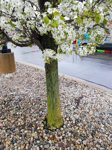 Department Store «Walmart Supercenter», reviews and photos, 2501 Walton Blvd, Warsaw, IN 46582, USA